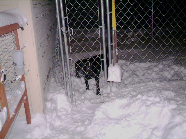 SNOW!!!!