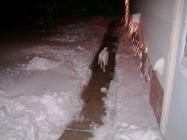mushu snow