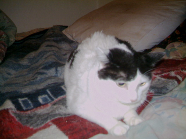 Baby2