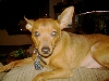 Buster