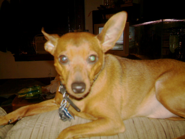 Buster