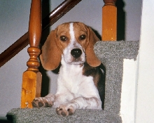Heidi @ 5 months