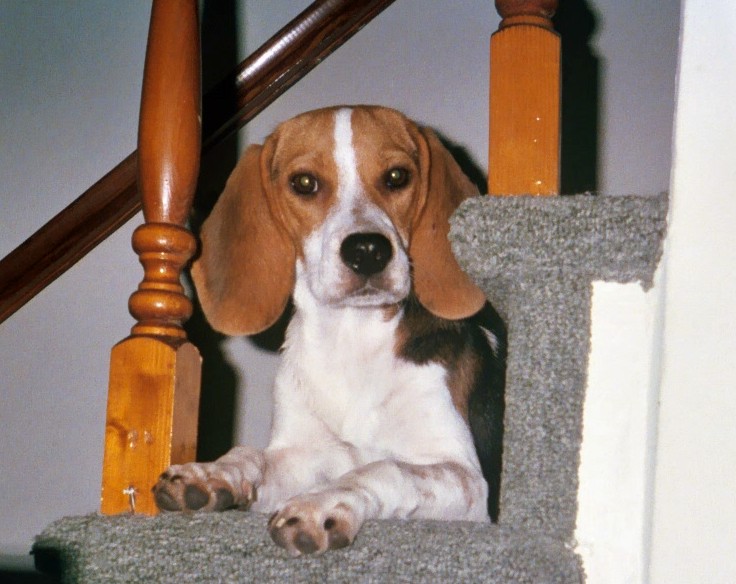 Heidi @ 5 months