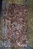 six copperheads