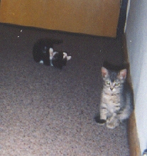 in the hallway