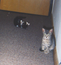 in the hallway