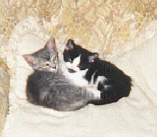 snuggling at an early age