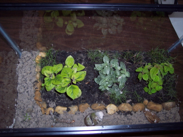 Top view
