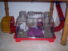 Bottom floor