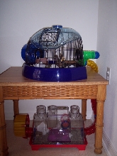Bruno's home