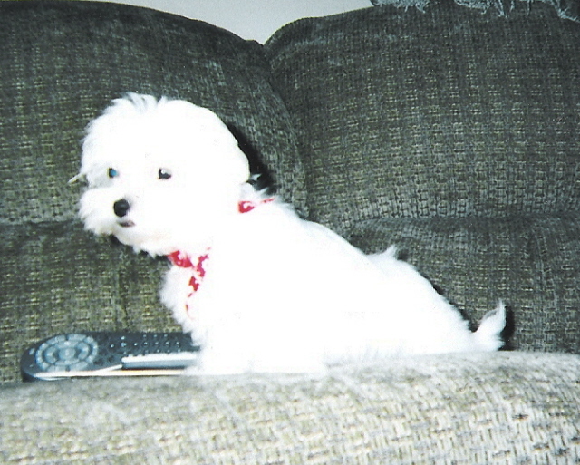 Sophie
