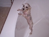 Bath time!!!