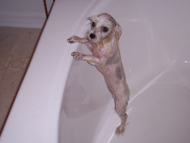 Bath time!!!