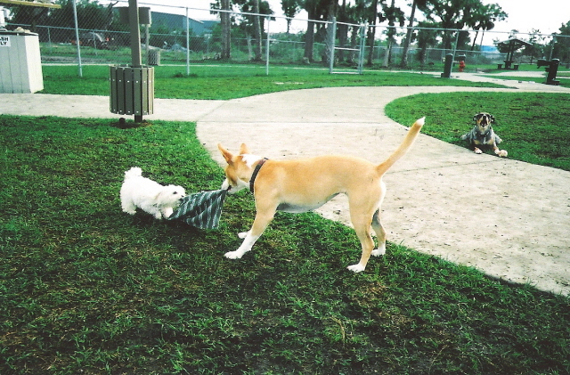 Sophie and Lucy