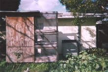 Iguana home