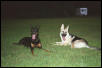 Maggie & Fredo