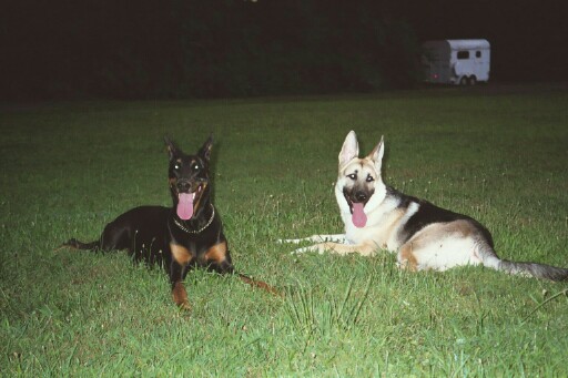 Maggie & Fredo