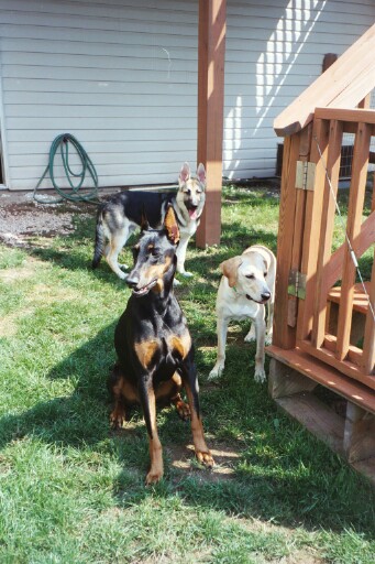 Maggie, Fredo & friend Lucy