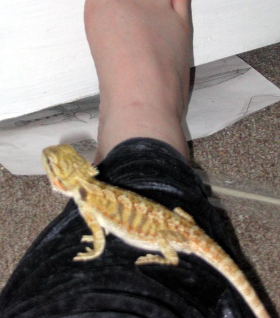 Feng after her first shed