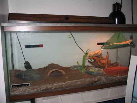 Eco-earth installed