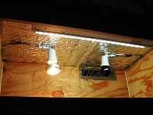 Lighting Set-up