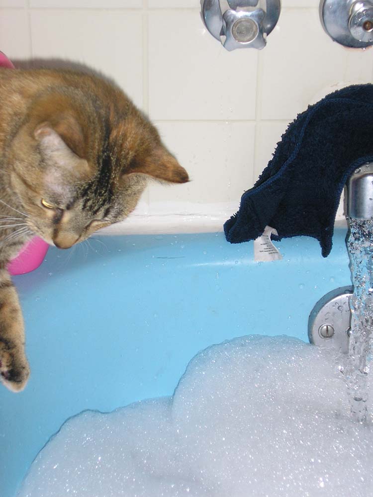 Bathtime!