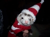 Ruffie Roo Christmas