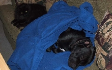Zeke and Samantha