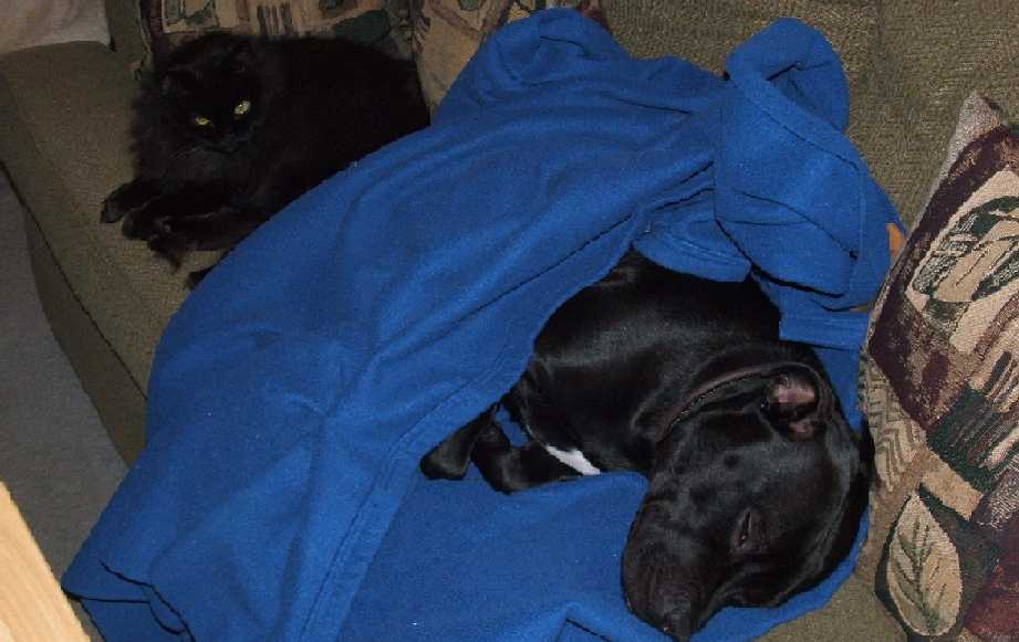 Zeke and Samantha