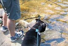 Zeke fishing