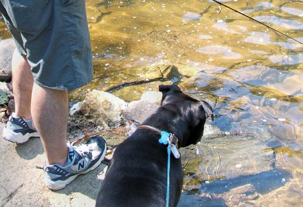 Zeke fishing