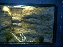 custom exhibit