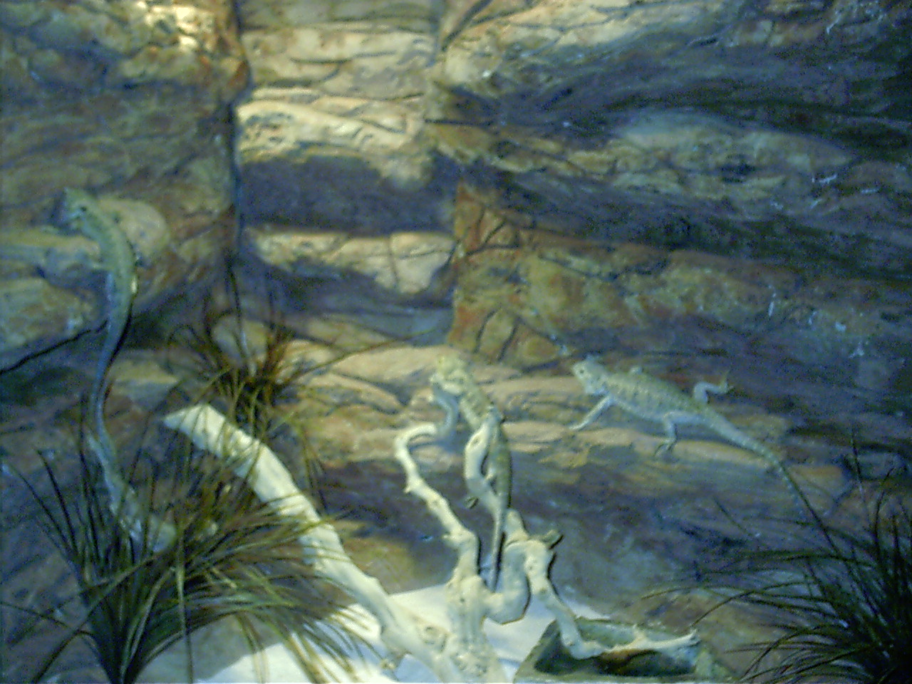 custom exhibit
