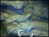 custom exhibit