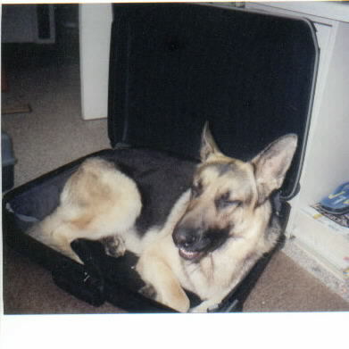 Ready to Travel