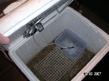 Incubator3