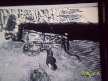Night Vision