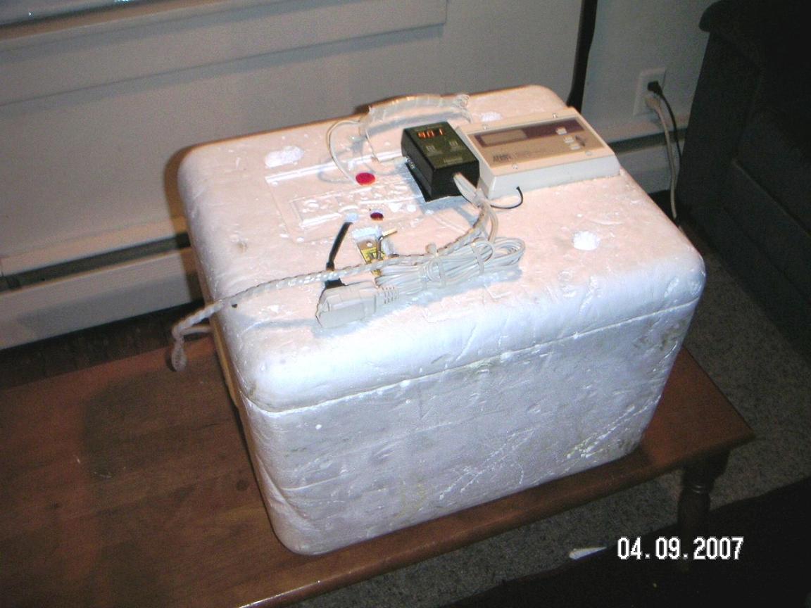 Incubator1