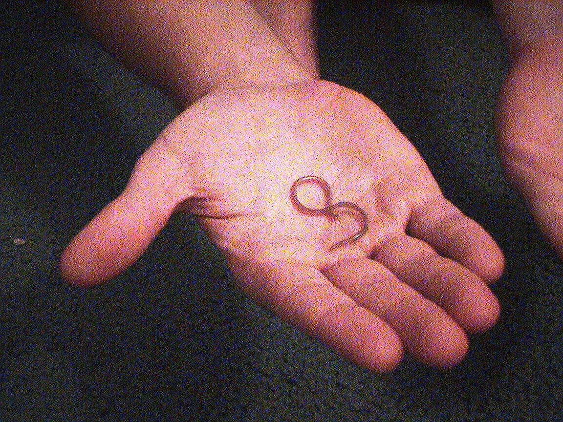 Blind Snake