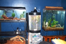 a few of my set ups