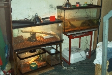 other tanks