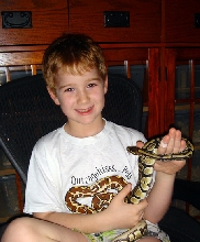 haydn future herper
