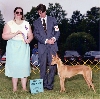 best of breed