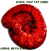 kunghayfatchoy