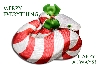 peppermint twist