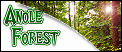 AnoleForestButton