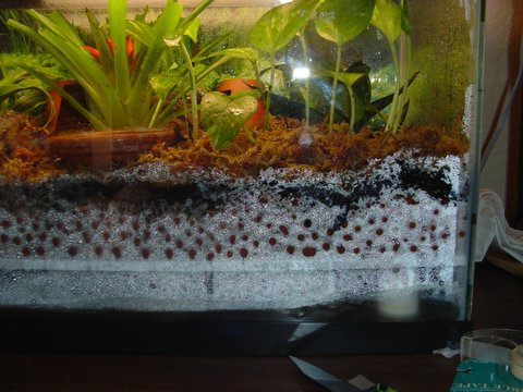 false bottom tank