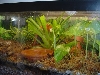 Tank set up 2