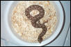 Mexican Hognose