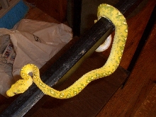 LENGTH11